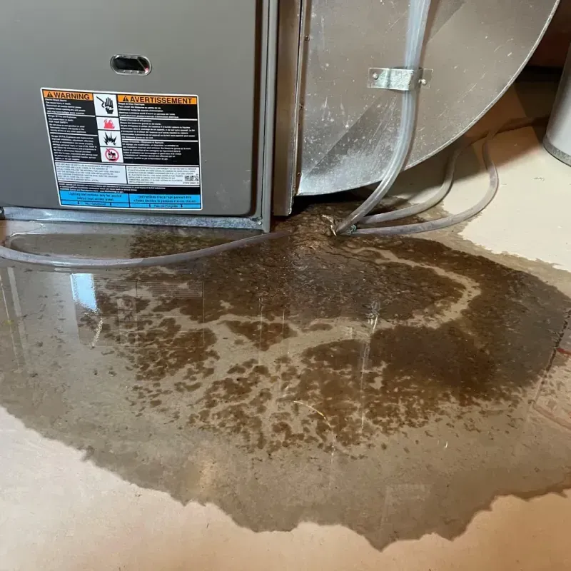 Appliance Leak Cleanup in Blennerhassett, WV